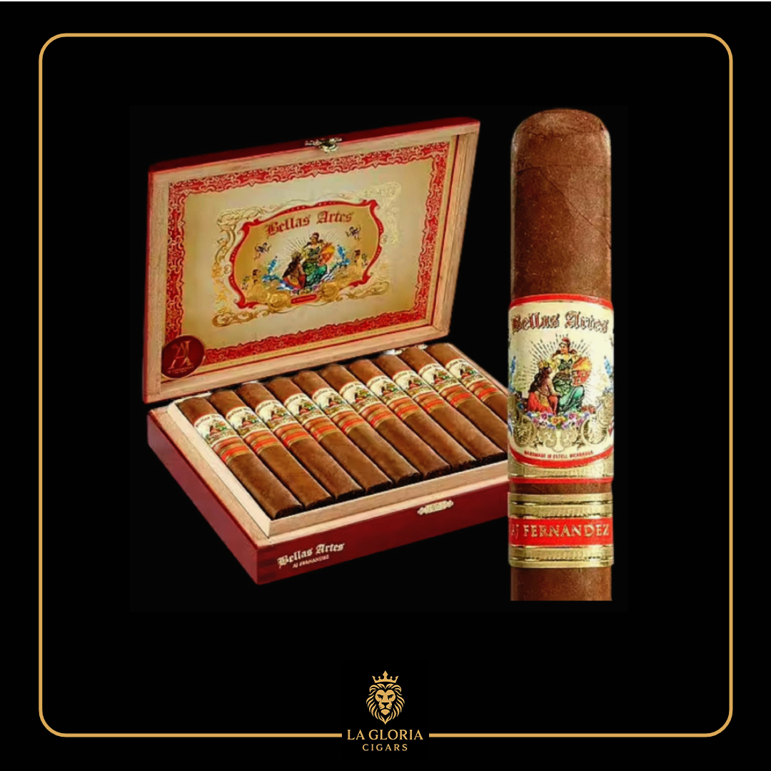 Bellas Artes "Robusto"
